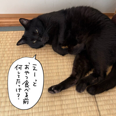 寝そべる黒猫