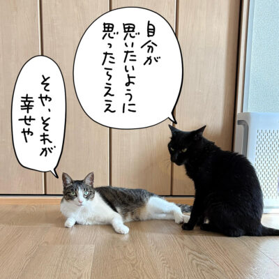 黒猫とキジ白猫