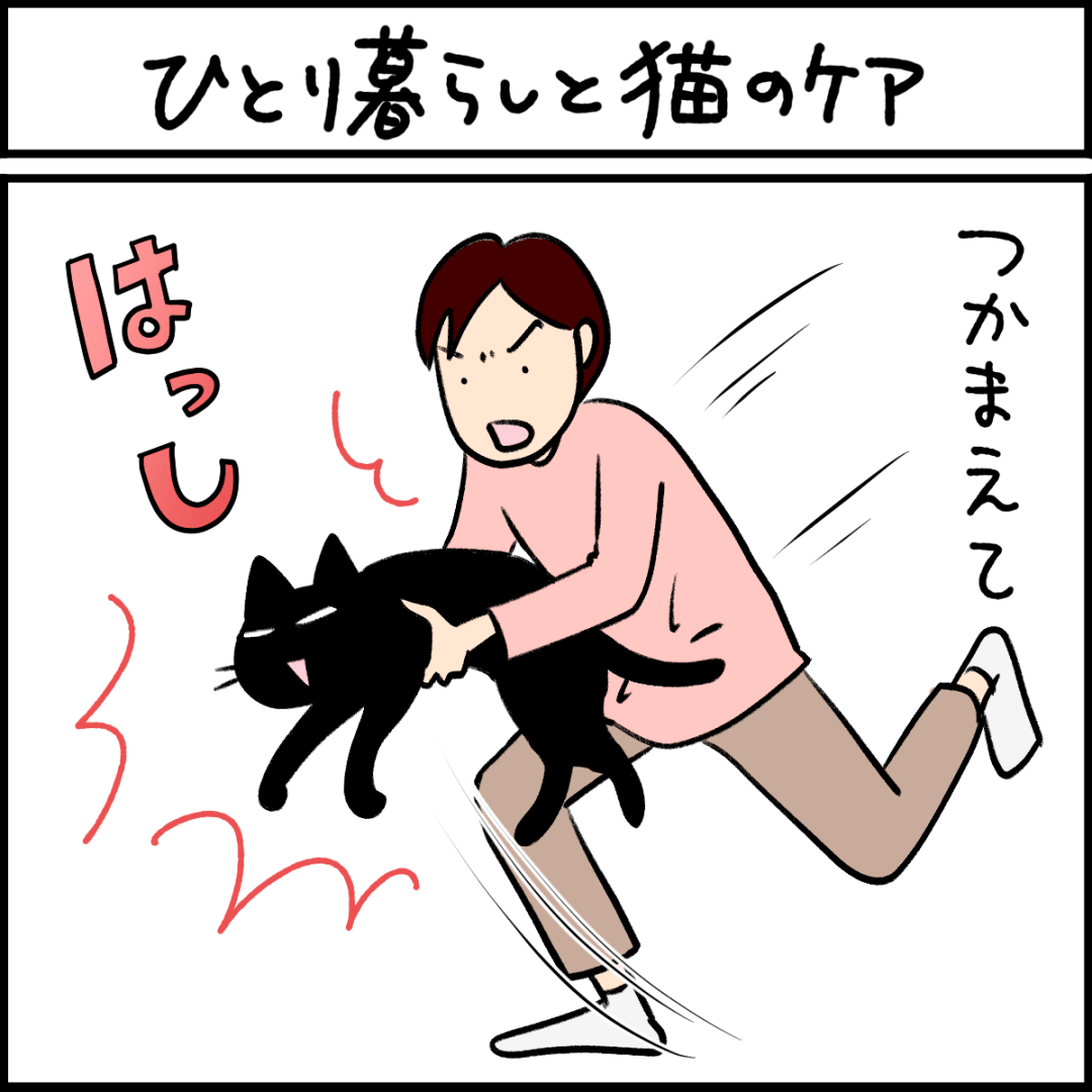 ねこ漫画