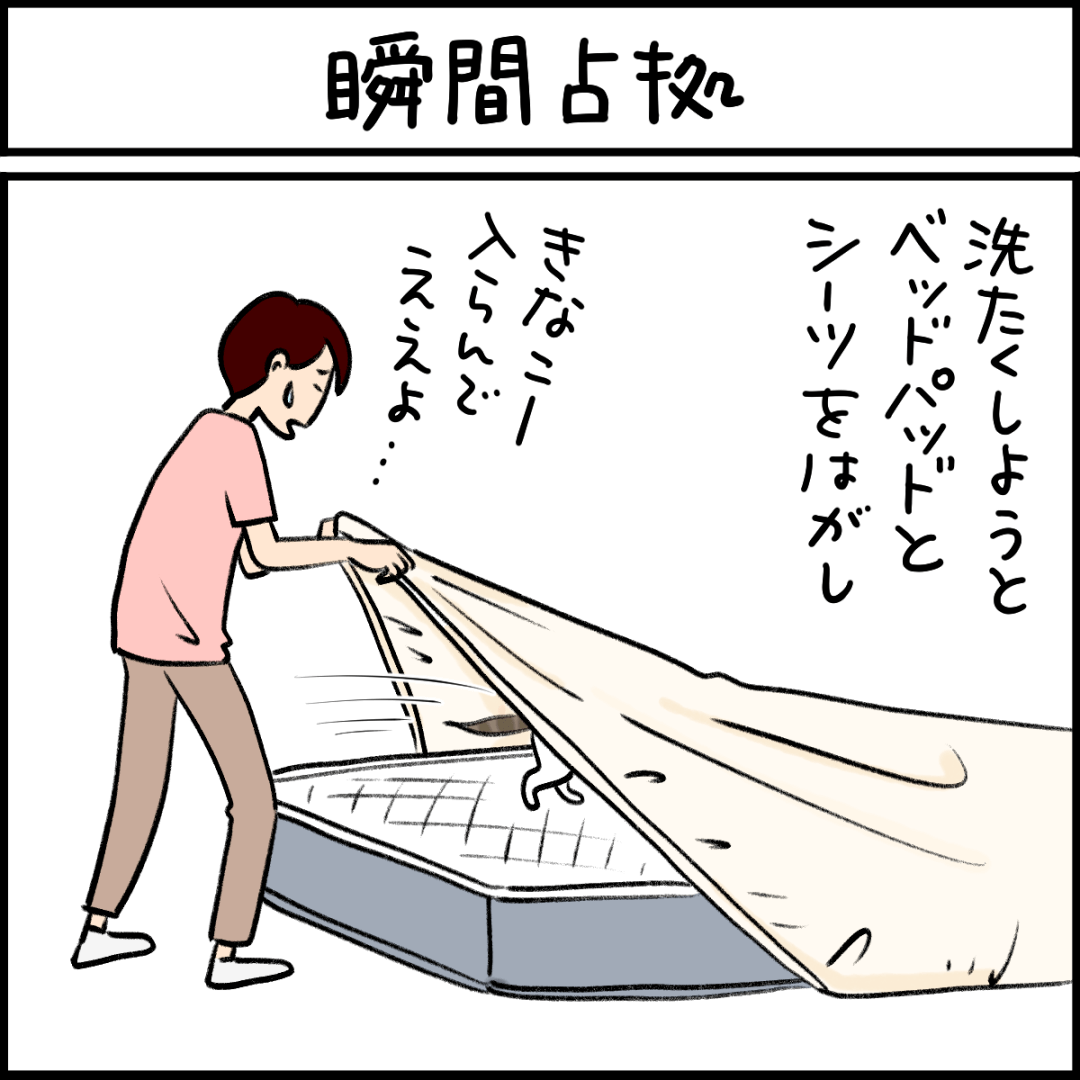 猫漫画