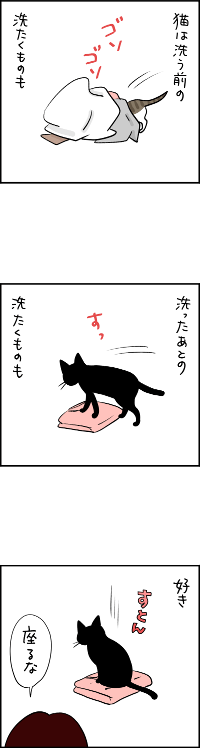 猫漫画