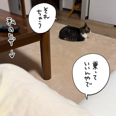 膝に乗らないきなこ