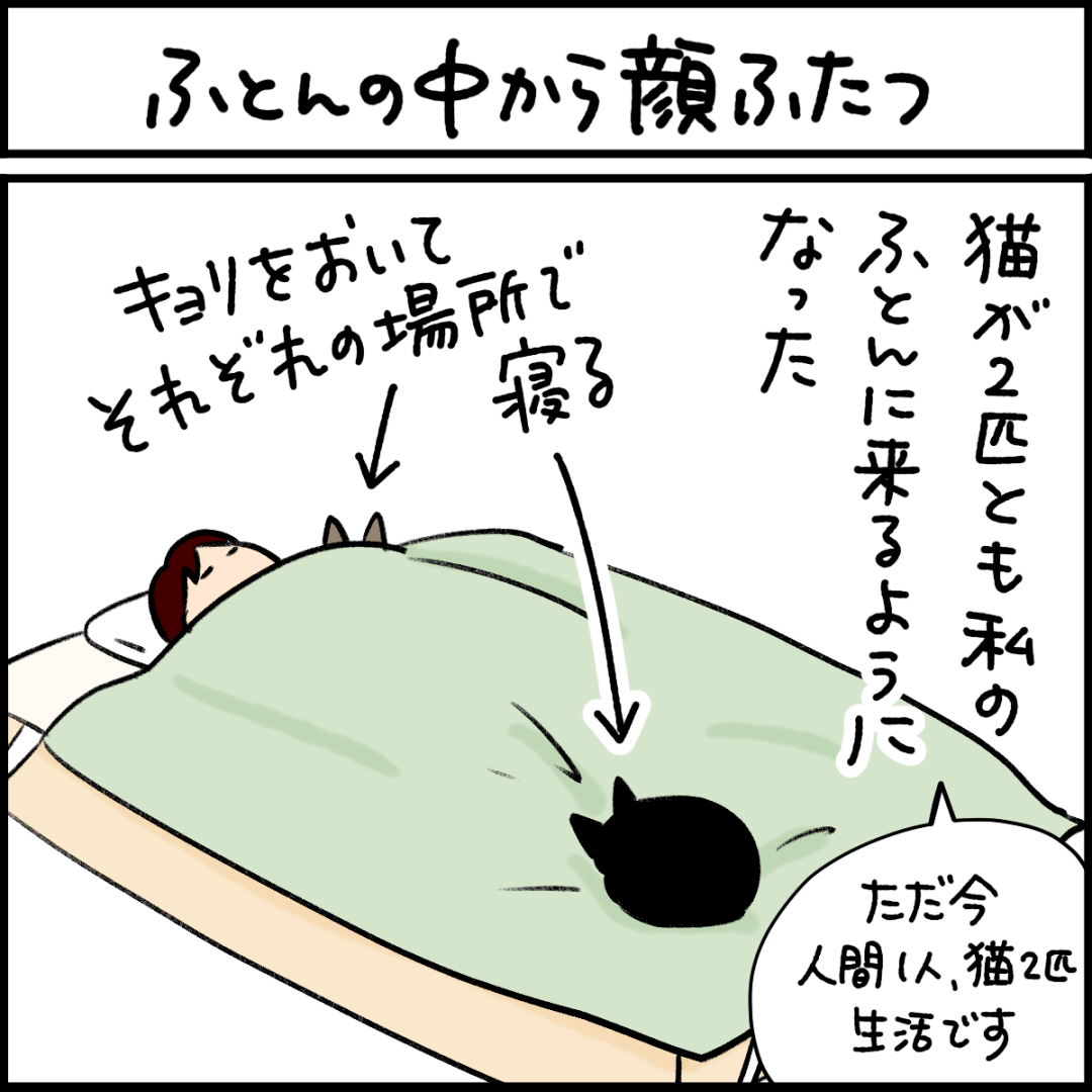 猫漫画