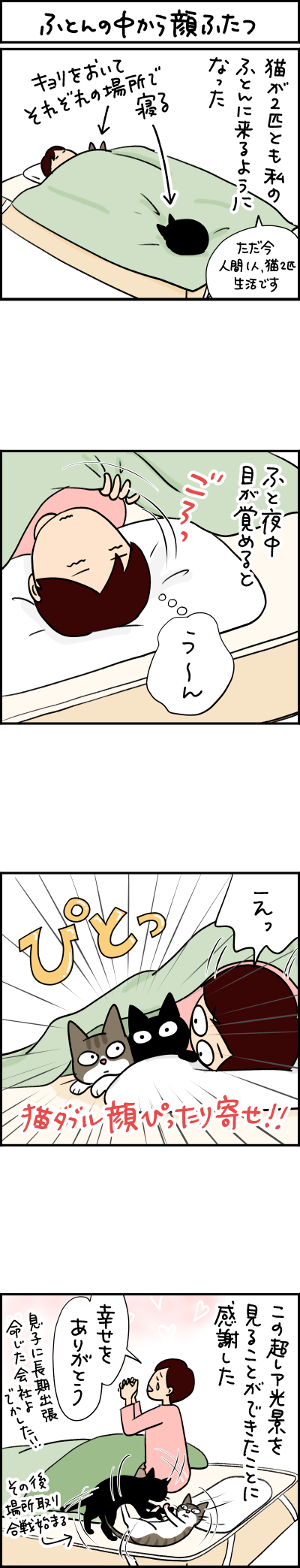猫漫画