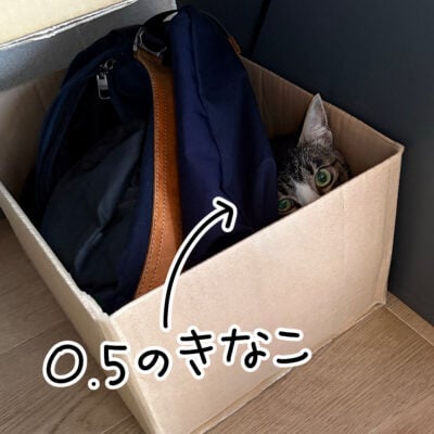 1コマエッセイ漫画