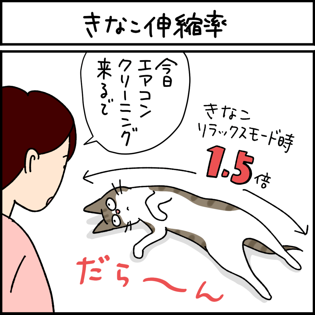 ねこ漫画