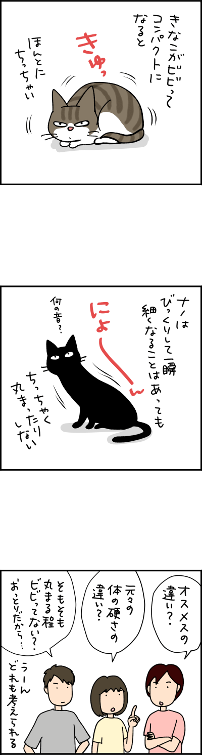 猫漫画