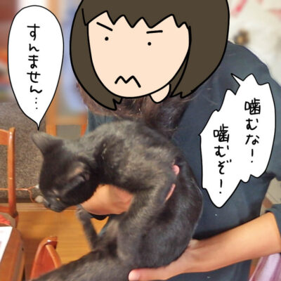 教育されるナノ1