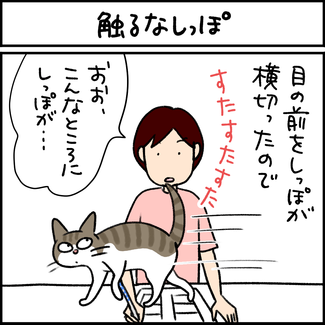 ねこ漫画