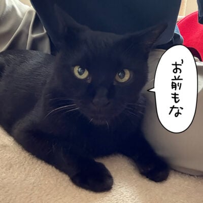 黒猫ナノ