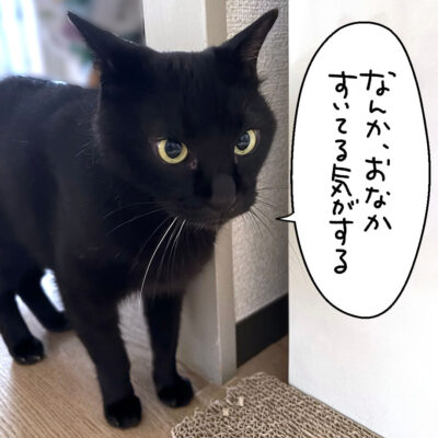 黒猫ナノ