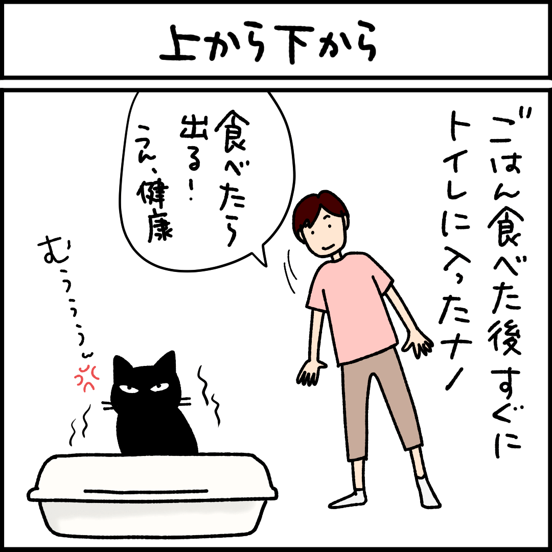 ねこ漫画