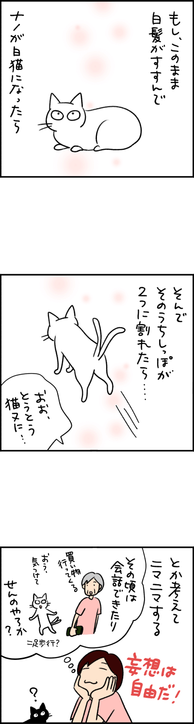 猫漫画