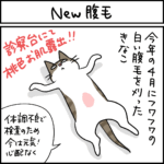 ねこ漫画
