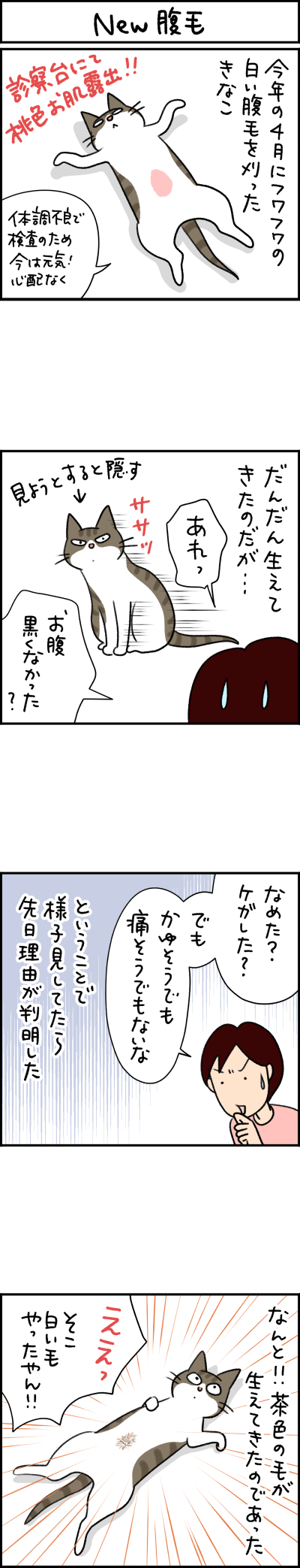 ねこ漫画