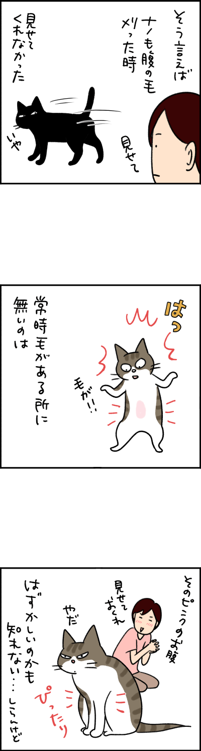 ねこ漫画