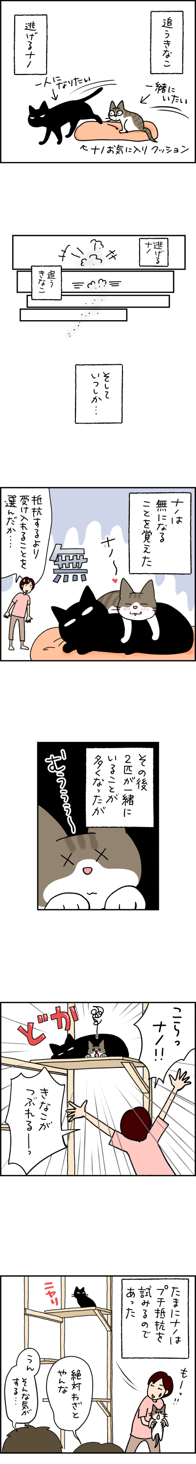 ねこ漫画