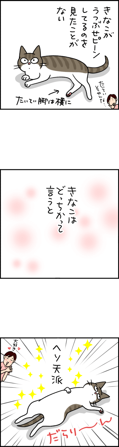 猫漫画