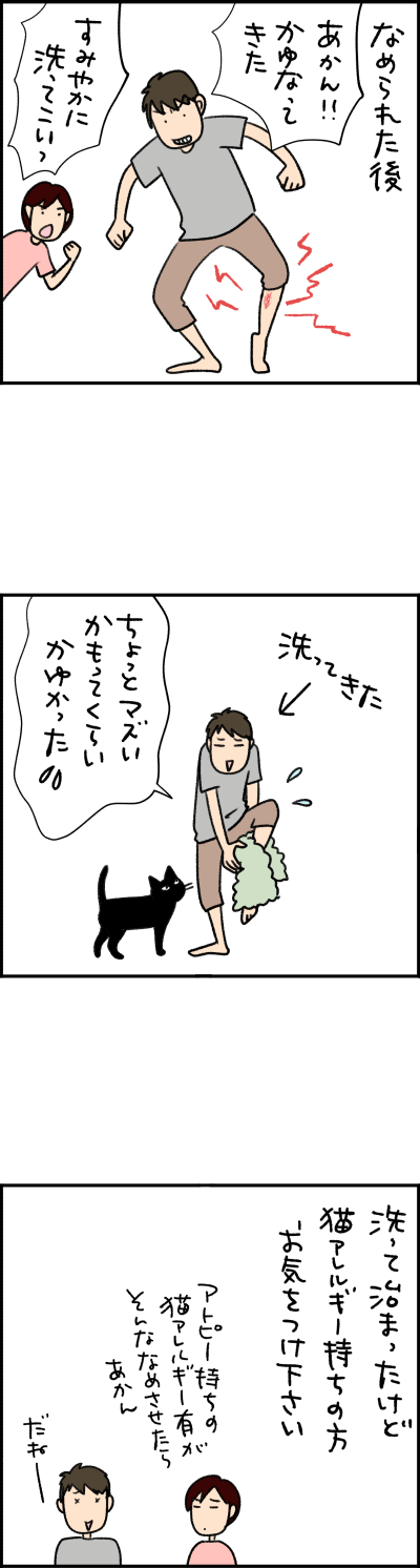 ねこ漫画
