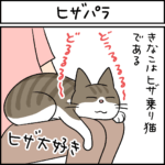 ねこ漫画