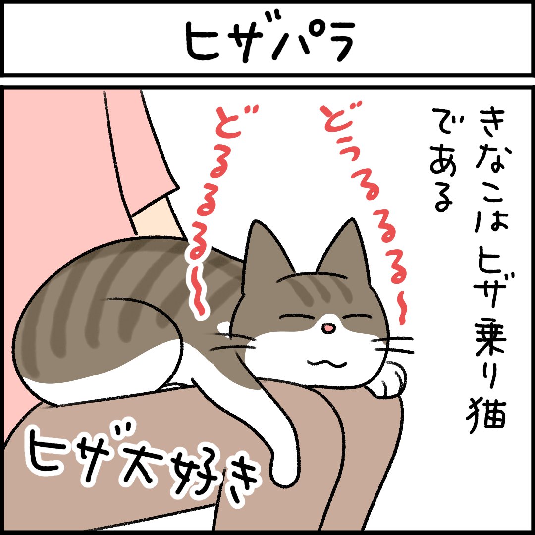 ねこ漫画