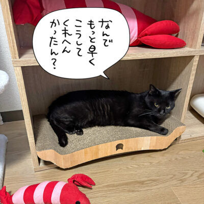 ぴったりのナノ