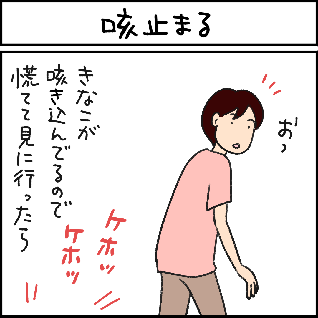 ねこ漫画