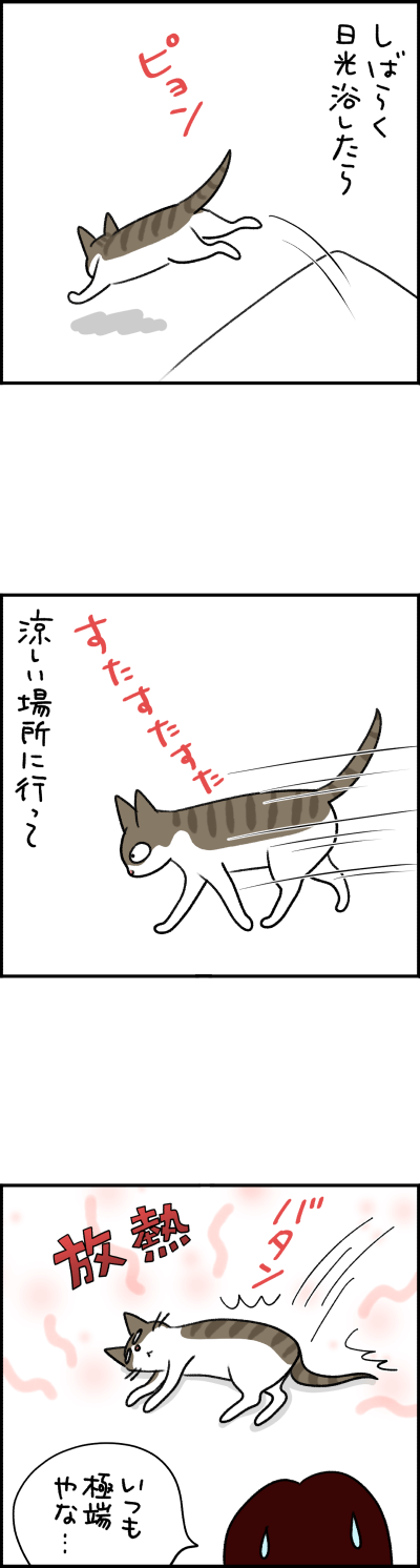 ねこ漫画