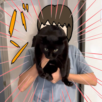 ナノガン