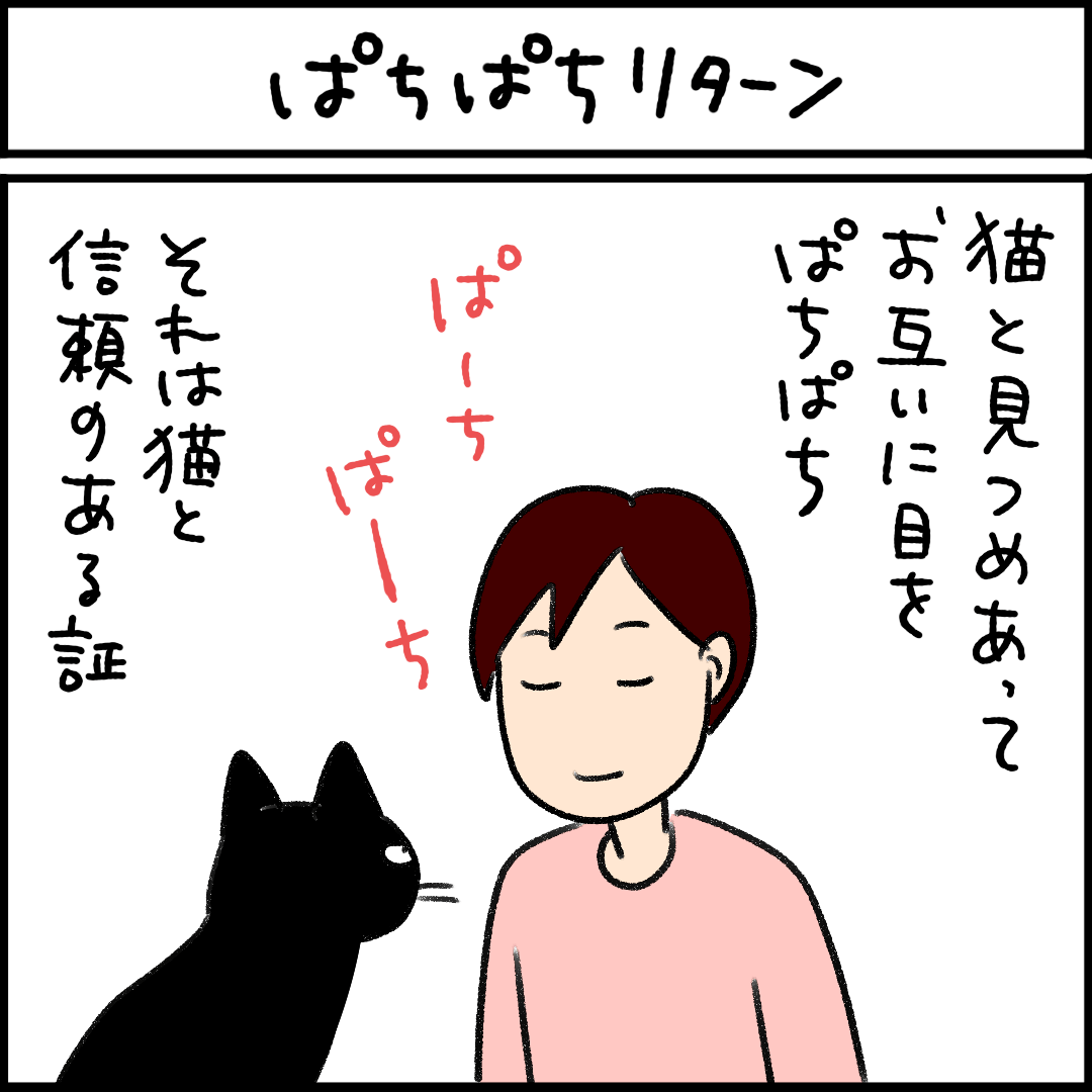 ねこ漫画