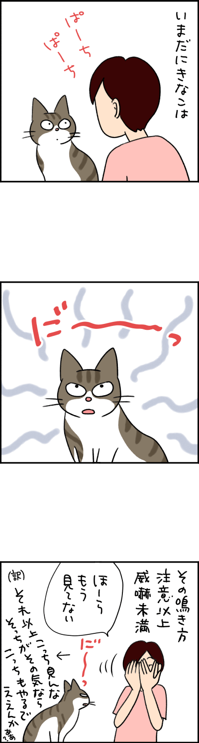 ねこ漫画