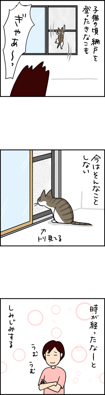 猫漫画