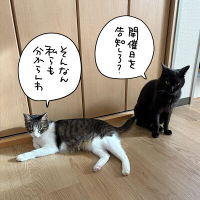 黒猫ナノとキジシロ猫きなこ