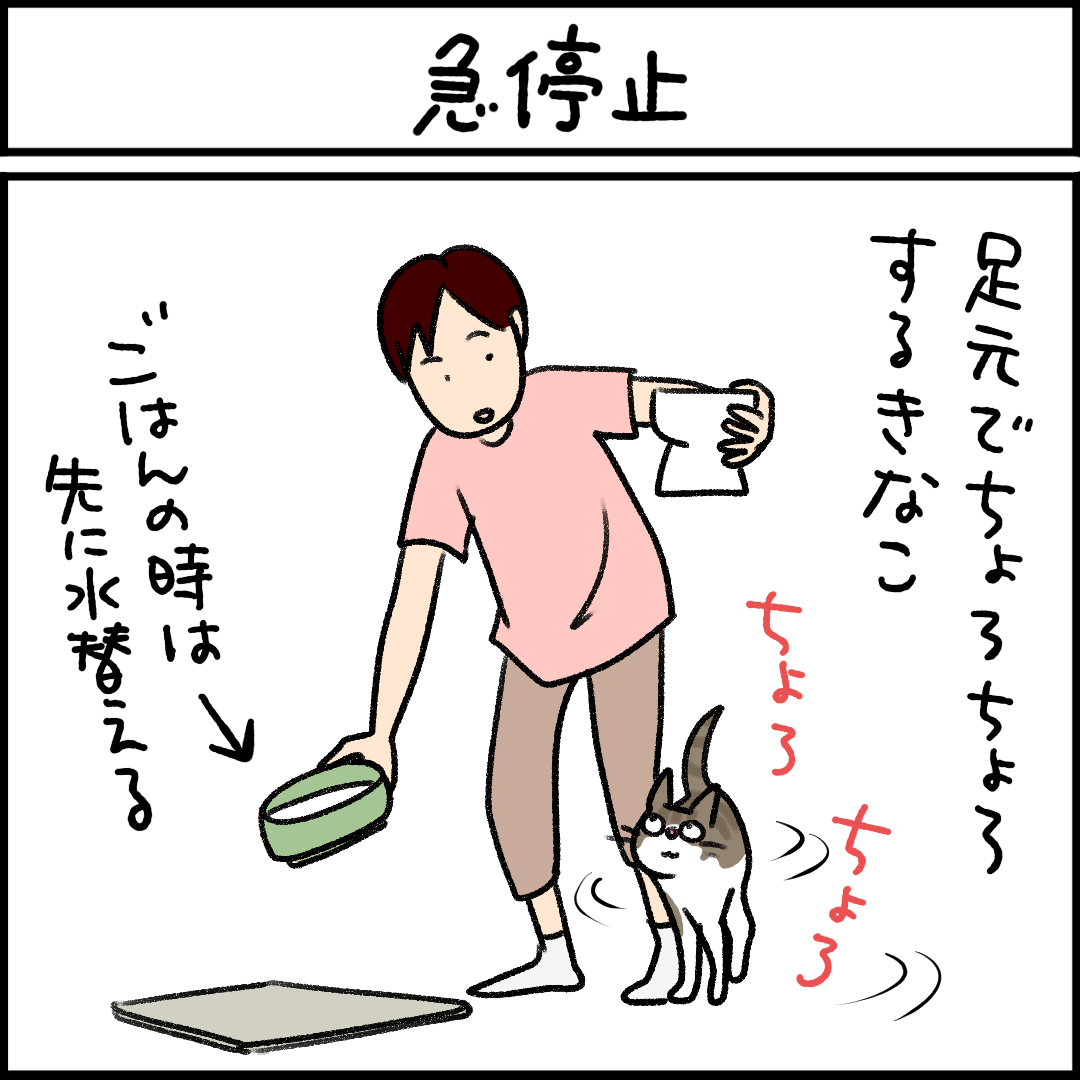 ねこ漫画