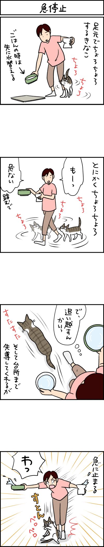 猫漫画