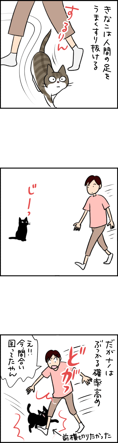 ねこ漫画