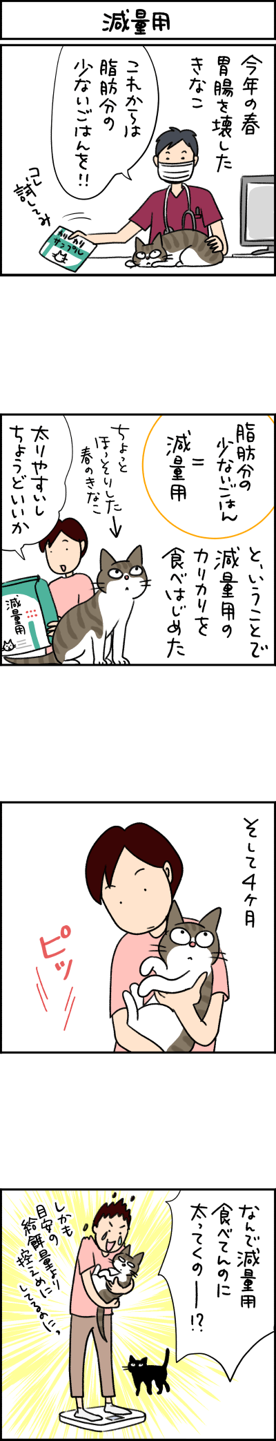 ねこ漫画