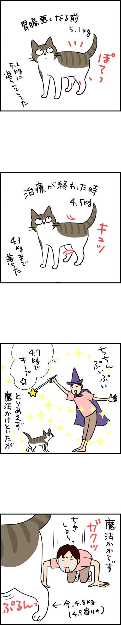 ねこ漫画