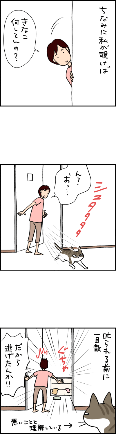 ねこ漫画