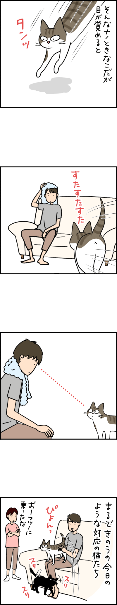 ねこ漫画