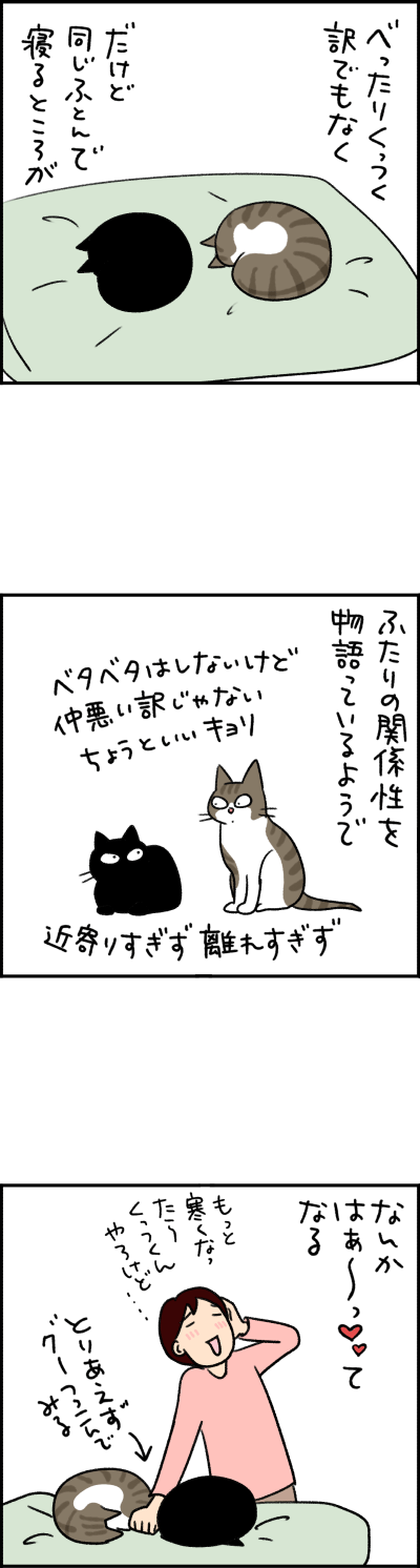 猫漫画