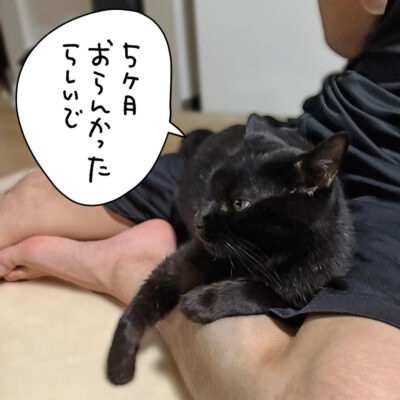 膝わっかに入るナノ