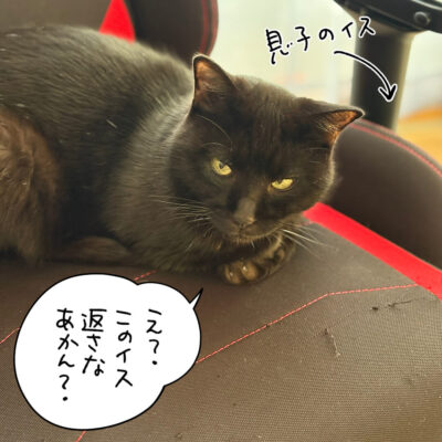 息子の椅子の上の黒猫ナノ