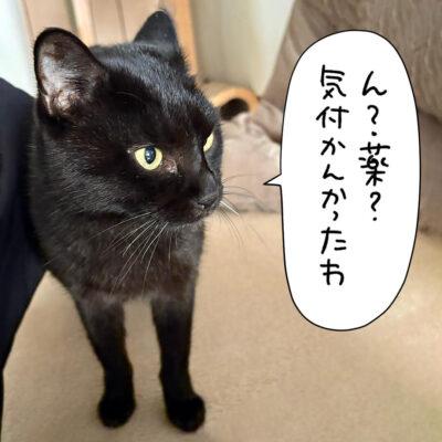 黒猫ナノ