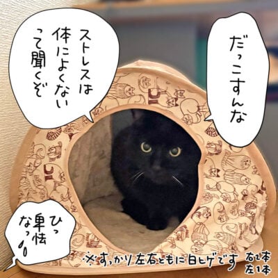 抱っこから逃れる黒猫のナノ