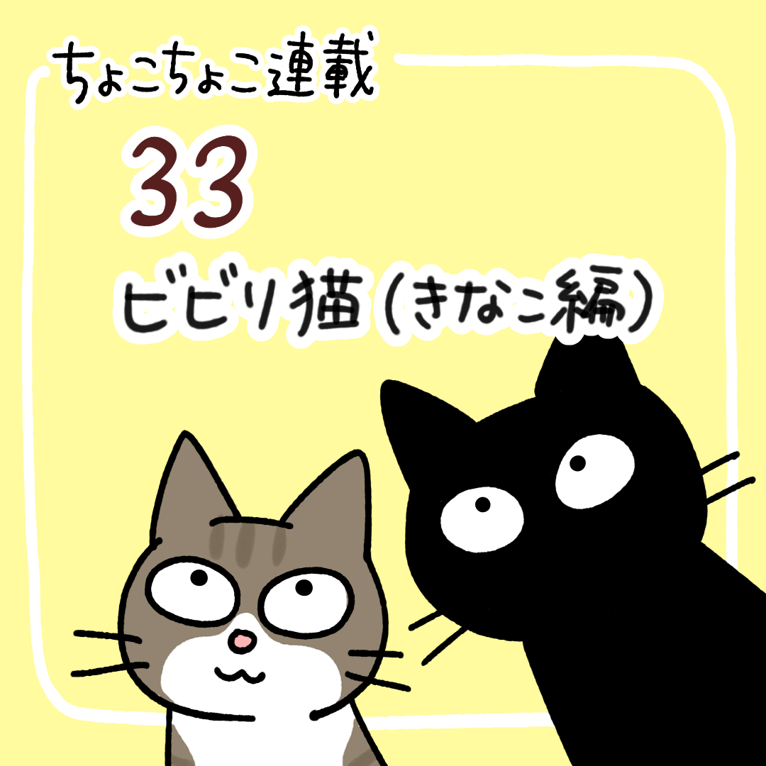 ちょこちょこ連載