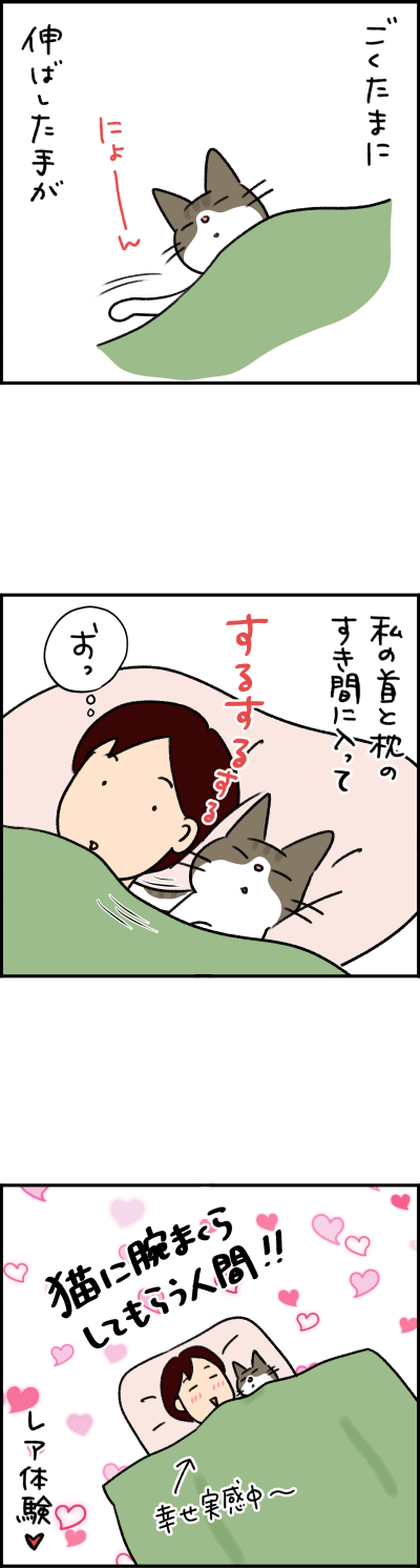 猫漫画