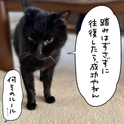 黒猫ナノ