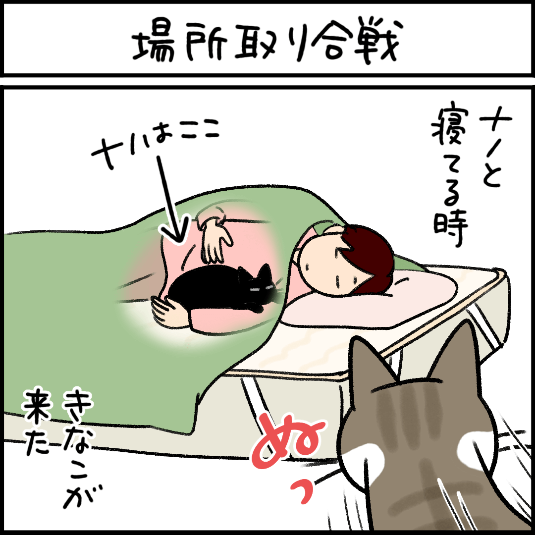 ねこ漫画