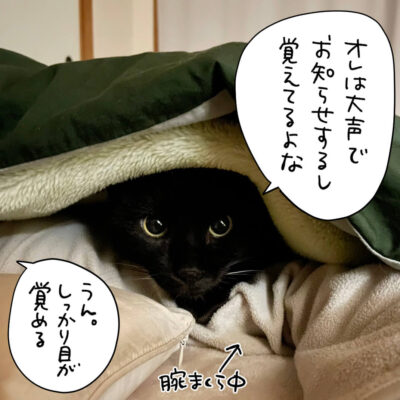 腕枕される黒猫